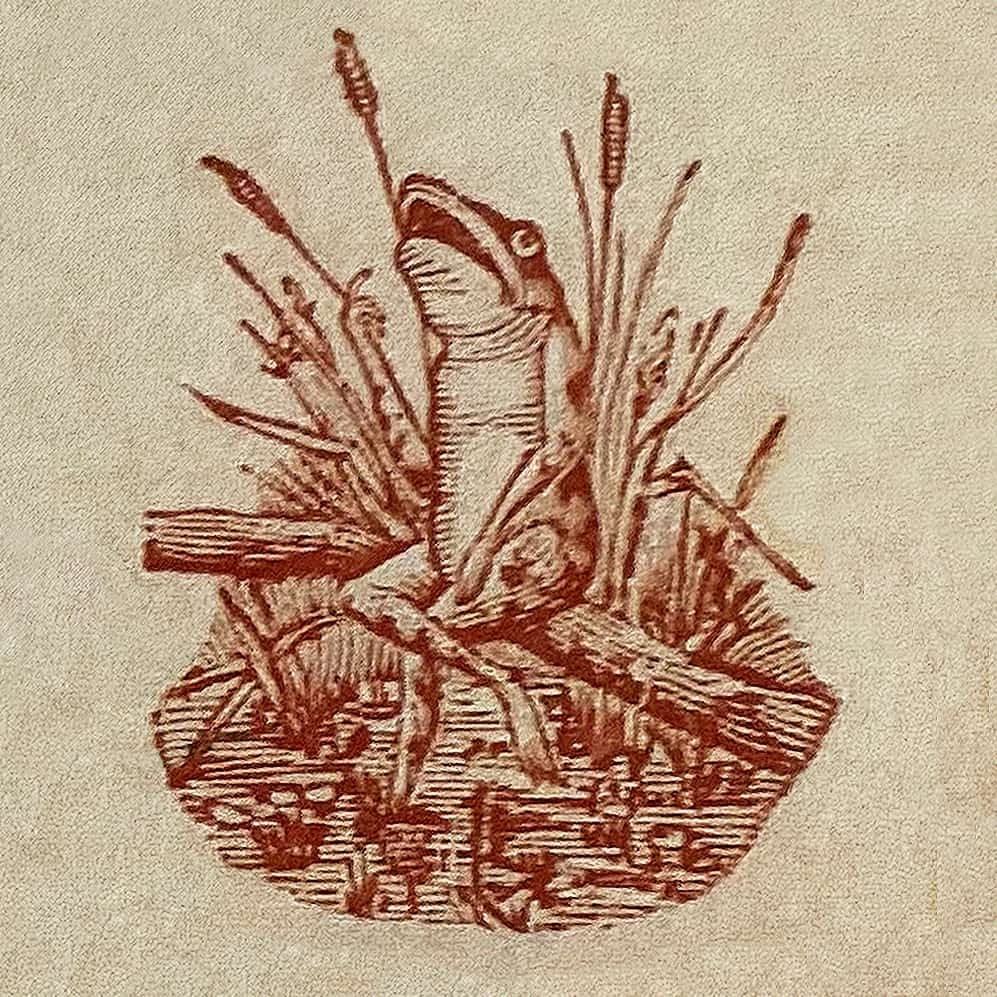 Frog Pond Chill & Fever Cure - Frog Logo 2